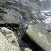 ヒメ日記 2025/11/05 23:21 投稿 かや Love Fantasy（ラブファンタジー）