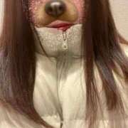 ヒメ日記 2025/12/01 22:33 投稿 かや Love Fantasy（ラブファンタジー）