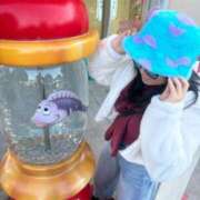 ヒメ日記 2026/01/26 22:27 投稿 かや Love Fantasy（ラブファンタジー）