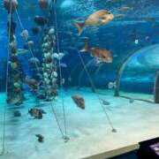 ヒメ日記 2025/05/20 15:06 投稿 チナ★体験入店 人妻生レンタル-石巻-