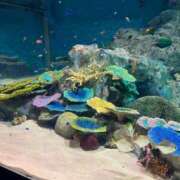 ヒメ日記 2025/05/24 10:56 投稿 チナ★体験入店 人妻生レンタル-石巻-