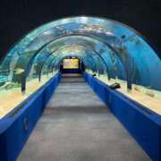 ヒメ日記 2025/05/27 09:16 投稿 チナ★体験入店 人妻生レンタル-石巻-