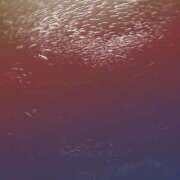 ヒメ日記 2025/06/22 05:46 投稿 チナ★体験入店 人妻生レンタル-石巻-