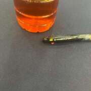 ヒメ日記 2025/05/11 12:47 投稿 ひなの 熊本グラマーグラマー