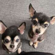 ヒメ日記 2025/07/06 23:57 投稿 みお【FG系列】 マダムFG柏本店