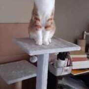 れみ 💗 和楽(わらく)