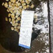 ヒメ日記 2025/08/06 08:22 投稿 ちえ ラッシュアワー