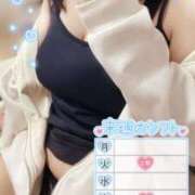 ヒメ日記 2025/05/16 12:12 投稿 チャコ エンジェルシリカ