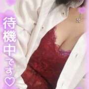 ヒメ日記 2025/05/20 09:53 投稿 チャコ エンジェルシリカ