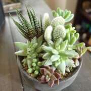 ヒメ日記 2025/05/11 10:57 投稿 【もも】業界未経験！現役学生☆ コーチと私と、ビート板･･･