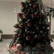 桜木 出勤するよ❤️ 新宿人妻城