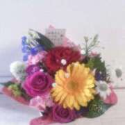 ヒメ日記 2025/05/15 08:44 投稿 桜木 渋谷人妻城