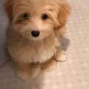 ヒメ日記 2025/07/23 15:52 投稿 桜木 渋谷人妻城