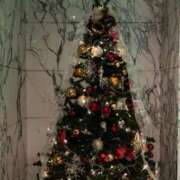 ヒメ日記 2025/12/20 19:10 投稿 桜木 渋谷人妻城