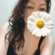 ヒメ日記 2025/05/24 14:44 投稿 雪村さち プランタン大塚