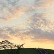 ヒメ日記 2025/06/06 19:30 投稿 雪村さち プランタン大塚