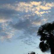 ヒメ日記 2025/11/09 21:58 投稿 雪村さち プランタン大塚