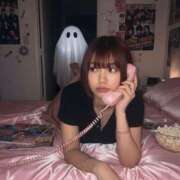 ヒメ日記 2025/11/05 13:19 投稿 みる Fの法則