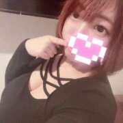 ヒメ日記 2025/11/13 12:02 投稿 みる Fの法則