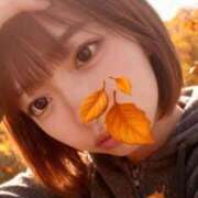 ヒメ日記 2025/11/18 19:45 投稿 みる Fの法則