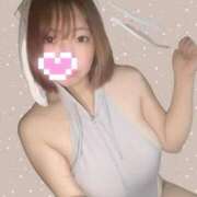 ヒメ日記 2026/04/03 20:18 投稿 みる Fの法則