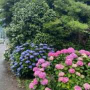 ヒメ日記 2026/06/30 11:18 投稿 みる Fの法則