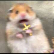 ヒメ日記 2025/08/29 00:23 投稿 北川　みずき NADIA京都店