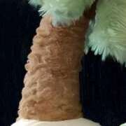 ヒメ日記 2025/09/01 03:14 投稿 北川　みずき NADIA京都店