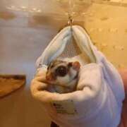 ヒメ日記 2025/09/03 12:30 投稿 北川　みずき NADIA京都店