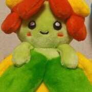 ヒメ日記 2025/09/04 03:57 投稿 北川　みずき NADIA京都店