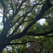 ヒメ日記 2025/09/07 12:50 投稿 北川　みずき NADIA京都店