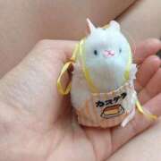 ヒメ日記 2025/09/08 11:45 投稿 北川　みずき NADIA京都店