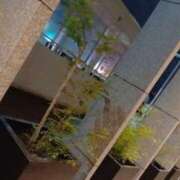 ヒメ日記 2025/09/11 04:18 投稿 北川　みずき NADIA京都店