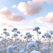 ヒメ日記 2025/09/11 17:01 投稿 北川　みずき NADIA京都店