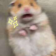 ヒメ日記 2025/10/08 18:50 投稿 北川　みずき NADIA京都店