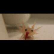 ヒメ日記 2025/10/19 04:06 投稿 北川　みずき NADIA京都店