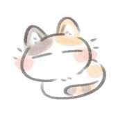 ヒメ日記 2025/11/26 13:23 投稿 北川　みずき NADIA京都店