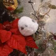 ヒメ日記 2025/12/23 16:53 投稿 北川　みずき NADIA京都店