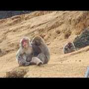 ヒメ日記 2026/02/06 19:41 投稿 北川　みずき NADIA京都店