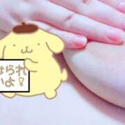 ヒメ日記 2025/10/10 14:53 投稿 ゆの いわき小名浜ちゃんこ