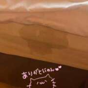 ヒメ日記 2026/06/25 14:53 投稿 ゆの いわき小名浜ちゃんこ
