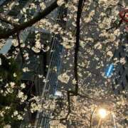 ヒメ日記 2025/05/07 03:35 投稿 さくら One More 奥様 鶯谷店