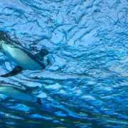 ヒメ日記 2025/05/07 09:25 投稿 さくら One More 奥様 鶯谷店