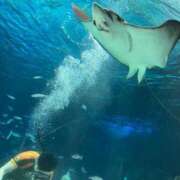 ヒメ日記 2025/06/19 21:05 投稿 さくら One More 奥様 鶯谷店