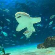 ヒメ日記 2025/06/20 19:05 投稿 さくら One More 奥様 鶯谷店