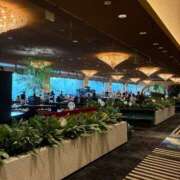 ヒメ日記 2025/07/17 06:55 投稿 さくら One More 奥様 鶯谷店