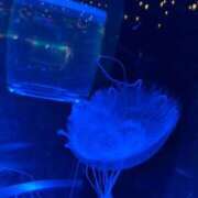 ヒメ日記 2025/09/19 11:25 投稿 さくら One More 奥様 鶯谷店