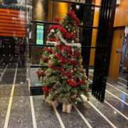 ヒメ日記 2025/12/04 03:50 投稿 さくら One More 奥様 鶯谷店