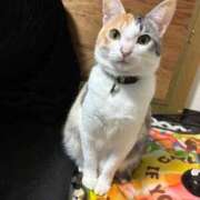 ヒメ日記 2026/01/10 21:20 投稿 さくら One More 奥様 鶯谷店