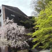 ヒメ日記 2026/04/12 22:27 投稿 りりか Respect